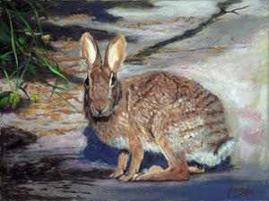 "Bunny" 9x12 original oil painting by Jesus Estevez