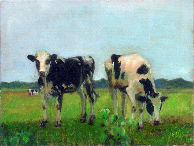 County Cows print on canvas 9x12