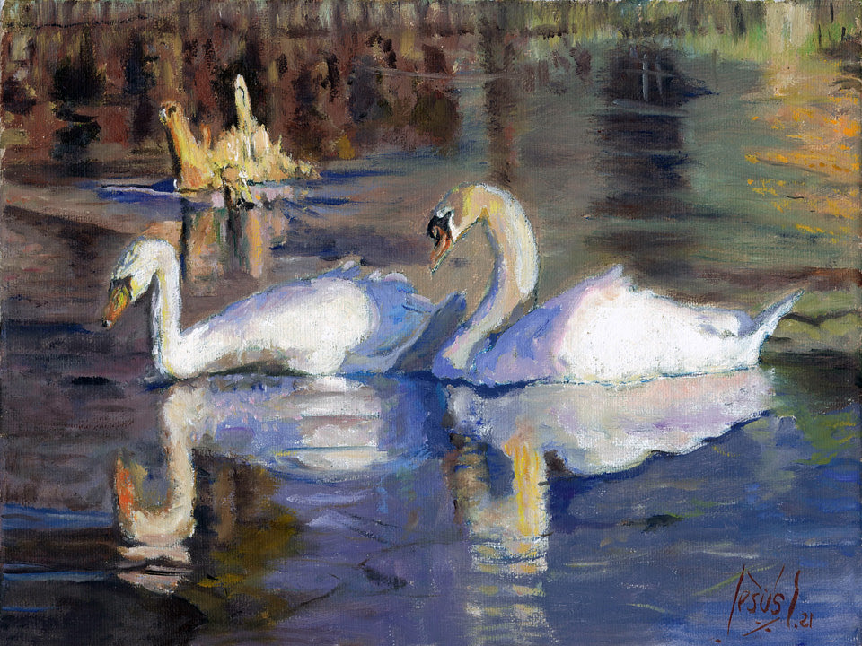 Original oil painting 9x12   Swans in pond