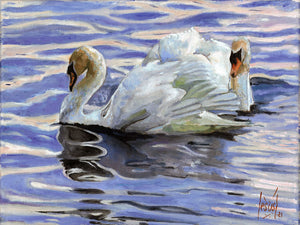 Swans mating dance, original oil painting