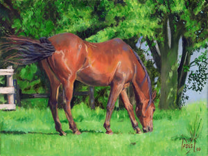 RED IRON OXIDE HORSE, original oil painting